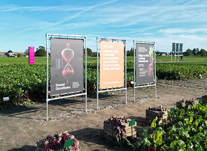 Campagnedoeken voor Popfest